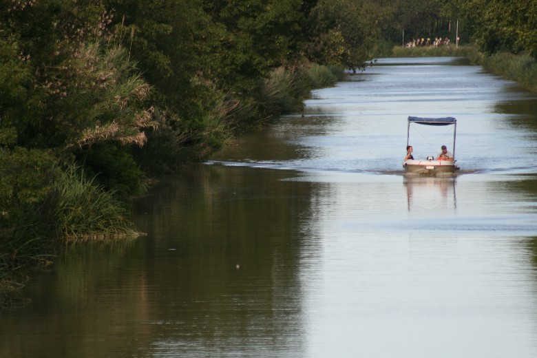 ../Images/20070705_133_canal_du_midi.jpg