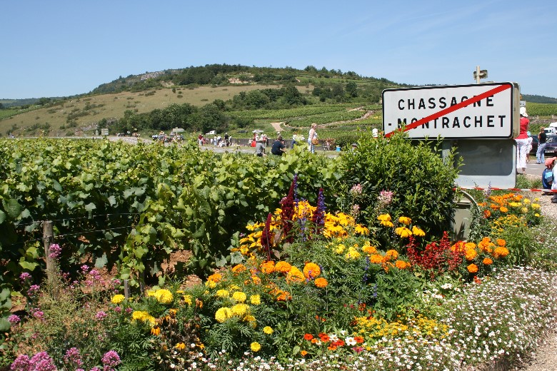 ../Images/20070713_272_tour_de_france.jpg